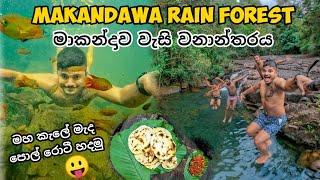 මහ කැලේ මැද රොටී , makandawa rain forest , vlog 031 #srilanka #srilankantrip #kitulgala