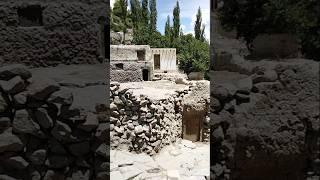 Hunza Valley Pakistan #hunza #hunzavalley #hunzavalleypakistan #pakistan #shorts #short #viralshort
