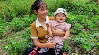 Weeding and taking care of peanut gardens, Harvesting papaya flowers to sell at the market.