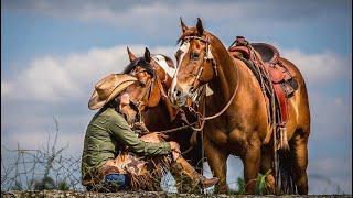 ll God Made Girls ll Cowgirl edit ll