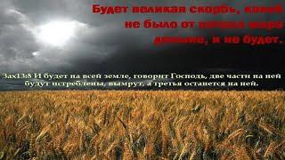 Будет великая скорбь, какой не было от начала мира доныне, и не будет!!!