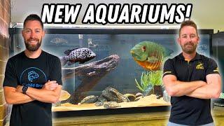 TWO NEW AQUARIUMS Setup with Aggressive Cichlids!