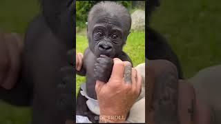 Before and After Shocking Animal Metamorphosis!