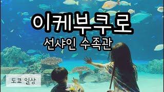 [도쿄일상] 이케부쿠로 선샤인 수족관 | サンシャイン水族館  | IKEBUKURO TOKYO | 도쿄가족 한일가족 일본일상 VLOG