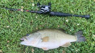 Cast to catch Cl8bait baby muskrat 1 Swimbait