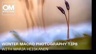 Winter Macro Photography Tips with OM SYSTEM Ambassador Marja Heiskanen