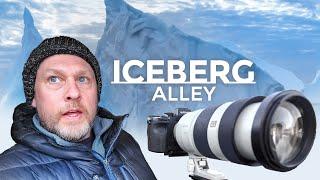 Who Needs Antarctica For Icebergs? Iceberg Alley, Newfoundland