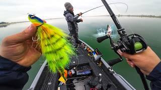 LE LAC SE VIDE ET NOUS DÉVOILE SES GROS POISSONS (Nouveau record)