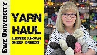 YARN HAUL #2: YARN FROM LESSER-KNOWN SHEEP BREEDS || EWE UNIVERSITY