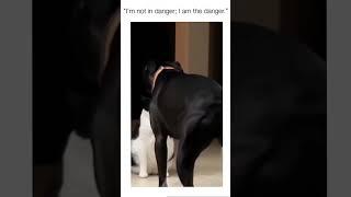 I'm not in danger, i am the danger!!