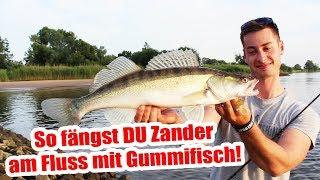 ZANDERANGELN am FLUSS | So fängst Du mit dem GUMMIFISCH + Köder Challenge!