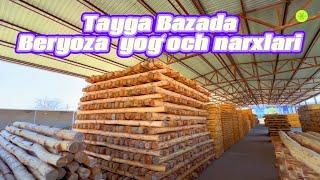 Тайга Базада Берёза ёғоч нархлари 2024 | Tayga bazada Beryoza yogʻoch narxlari 2024 | @Taygabaza