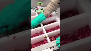 Она придумала крутой бизнес на старой одежде