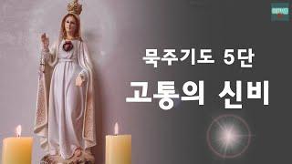 [5th stage of the Rosary] Mystery of Pain