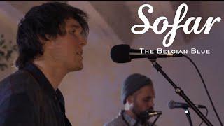 The Belgian Blue - Found me Just in Time | Sofar Vienna