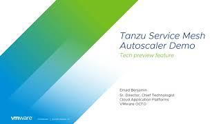 Tanzu Service Mesh Autoscaler Feature Demo