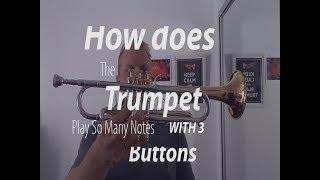 How does the trumpet play soo many notes with only 3 buttons