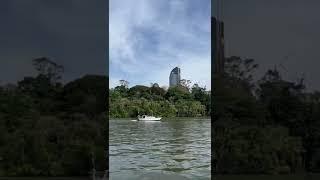 Brisbane River