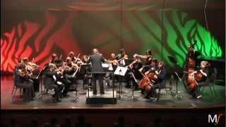 Alexander Borodin - Nocturne from String Quartet No2, D Major