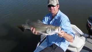 Lake Moondarra Barramundi on Lure - Catch and Release Fishing - Mount Isa, Queensland Australia