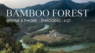 The Bamboo Forest of Guangning | Zhaoqing