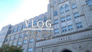 韓国TOP3高麗大学‍歩きながら紹介/고려대학교 소개[한국어 자막︎]