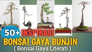 50+ Bunjin Style Bonsai Inspirations (Literati Style Bonsai)