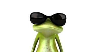 Frog in sun glasses mrsroadrunner.com