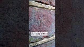 Where did all the brick homes go? #construction #diy #brick #history