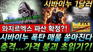 [ 시바이누 코인 ] "긴급 속보" 오늘밤 와지르엑스 파산 중대 기로, 시바이누 다시 하락 전환?! #시바이누 #시바이누코인 #시바이누전망 #shib #비트코인 #도지코인 #밈코인