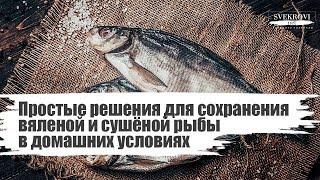 Простые решения для сохранения вяленой и сушёной рыбы в домашних условиях