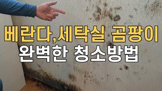 베란다,세탁실 곰팡이 완벽히 없앨수 있는 청소방법/ 곰팡이 스트레스 받지마세요/ 세상에서 젤 쉬운 청소방법 / 매직청소tv