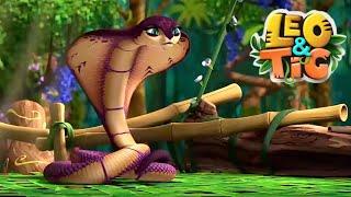 Leo and Tig    The Snake Charmer    Best episodes    Funny Family Good Animated Cartoon for Kids