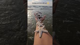 Just in time: Saving starfish from drying out 