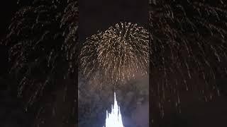 Magic Kingdom New Year's Eve Fireworks | Walt Disney World