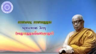 พุทธทาส ภิกขุ - ภาษาคน ภาษาธรรม