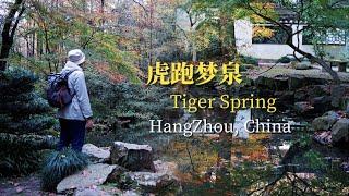 Solo travel the Tiger Spring in late autumn, Hangzhou, China.这是天下第三泉？ 探访虎跑梦泉，杭州新西湖十景