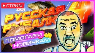 Русская Рыбалка 4 *Помощь, Крафтим приманки, Прикорм, Наживка! Для новичков!*