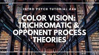 Color Vision: Trichromatic and Opponent Process Theories (Intro Psych Tutorial #46)