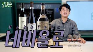 이태리 프리미엄 포도 품종 ㅣ네비올로 Nebbiolo ㅣ 같은품종 다른느낌 3종 와인 비교 테이스팅 ㅣ품종별 취향찾기 ㅣ피에몬테, 랑게, 바롤로, 바르바레스코