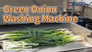 Automatic Green Onion High Pressure Water Washing Machine
