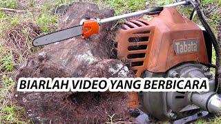 Ini ukuran kayu TERBESAR yang pernah aku potong pakai mesin rumput !! chainsaw mini 26 MM