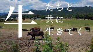 新しく希望の牧場が始まりますので、よしざわが皆様へご挨拶です。【希望の牧場】＃希望の牧場　#浪江町 　　#HopeFarm　　＃LeRanchdel'Espoir　　#cows