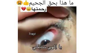 ما هذا بحق الجحيم / مقاطع انستقرام