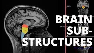 [FreeSurfer] Brainstem Substructures