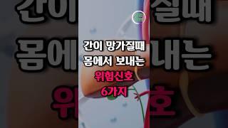 간이 망가질때 몸에서 보내는 신호 6가지 #건강 #건강정보
