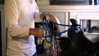 Learning Horse Rein Control - Soft Hands Make Soft Horses Exercise - Rick Gore Horsemanship