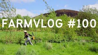 MILKING GETS EASIER | WHAT is the STRAW YARD? | FRESH GRASS for the NEW COWS | PERMACULTURE FARMING