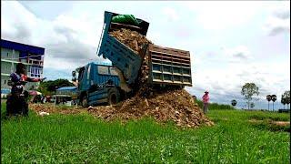 Opening Project Flooded Land UP Size 8X20M Bulldozer D20P & Truck7KIP Spreading Rock Into Water