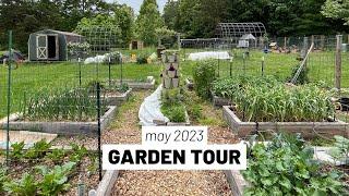 MAY 2023 Full homestead vegetable garden tour -- EVERYTHING has been planted!
